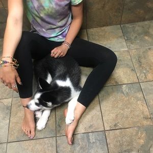 Meet your Posher, Jenna